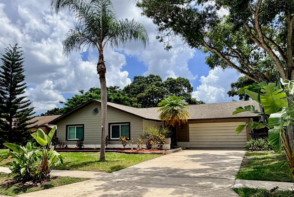 A house exterior features a brown front door, a white garage door, and a palm tree — 1583 REDWOOD AVENUE, DUNEDIN, FL