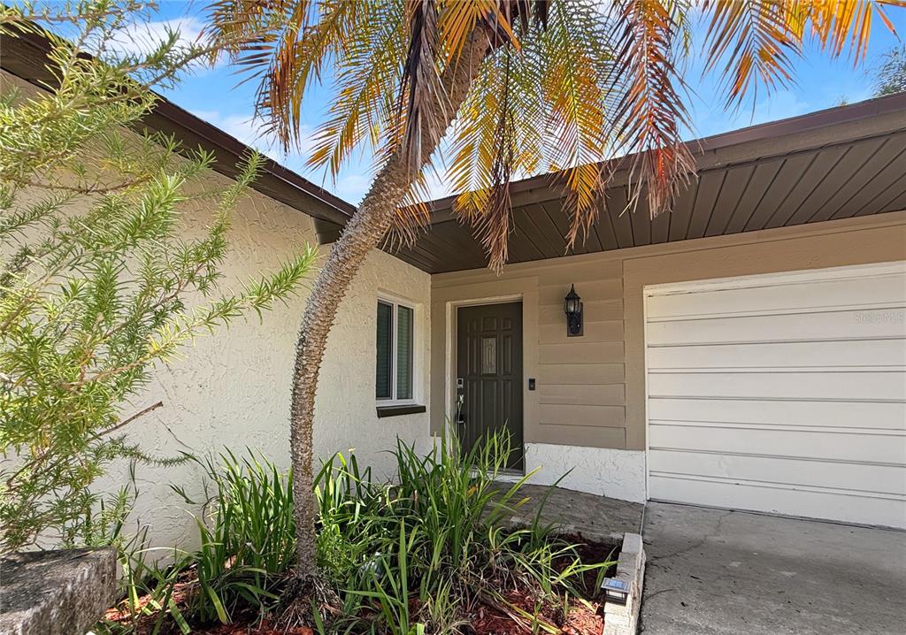 A front porch features a stone floor, a palm tree, and a small garden bed — 1583 REDWOOD AVENUE, DUNEDIN, FL