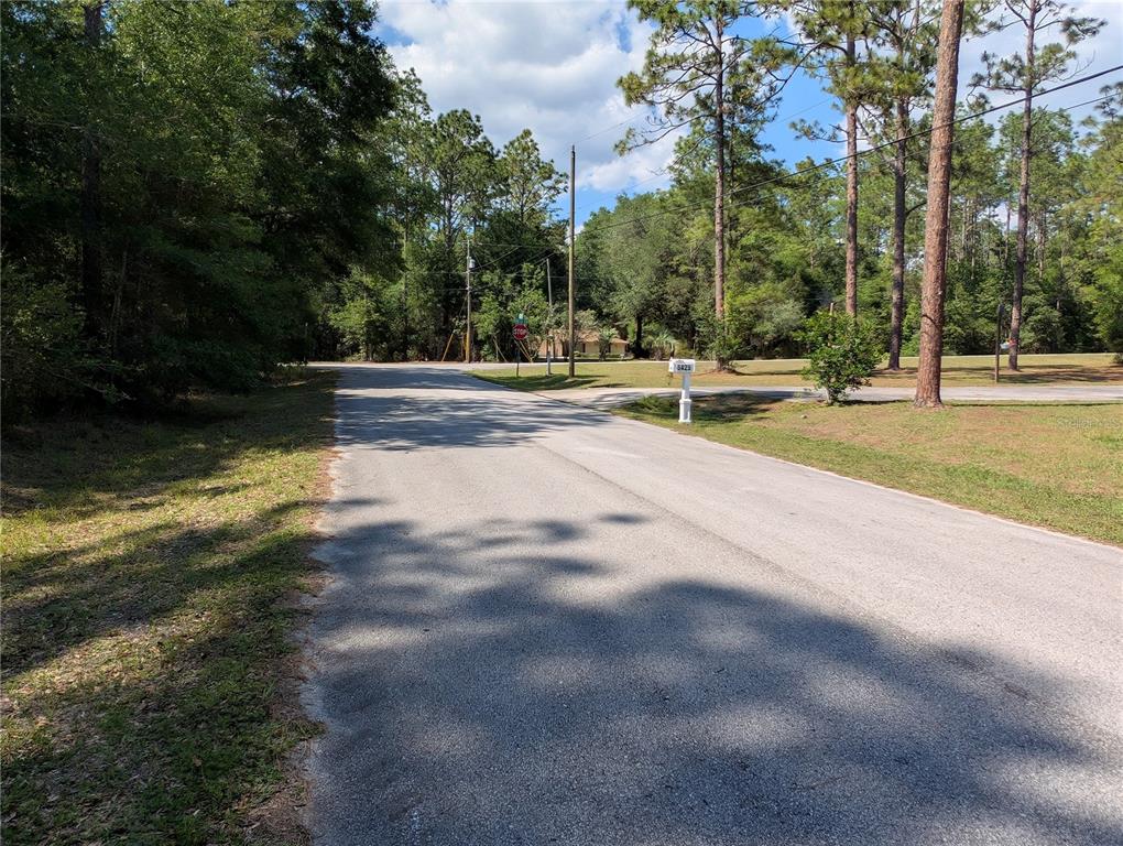 A paved road leads toward a stop sign surrounded by trees and grassy areas — 202ND CT, DUNNELLON, FL