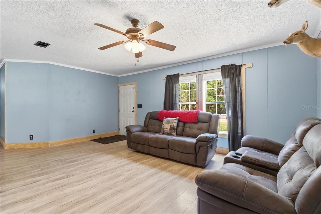 A living room features light blue walls, wood-look flooring, a ceiling fan, and two sofas — 10382 W KILLARNEY STREET, CRYSTAL RIVER, FL