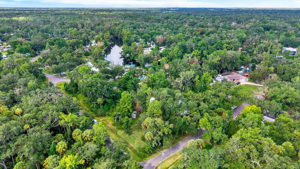 An aerial view shows a residential area surrounded by dense trees and a small river — 3913 ALAFIA BOULEVARD, BRANDON, FL