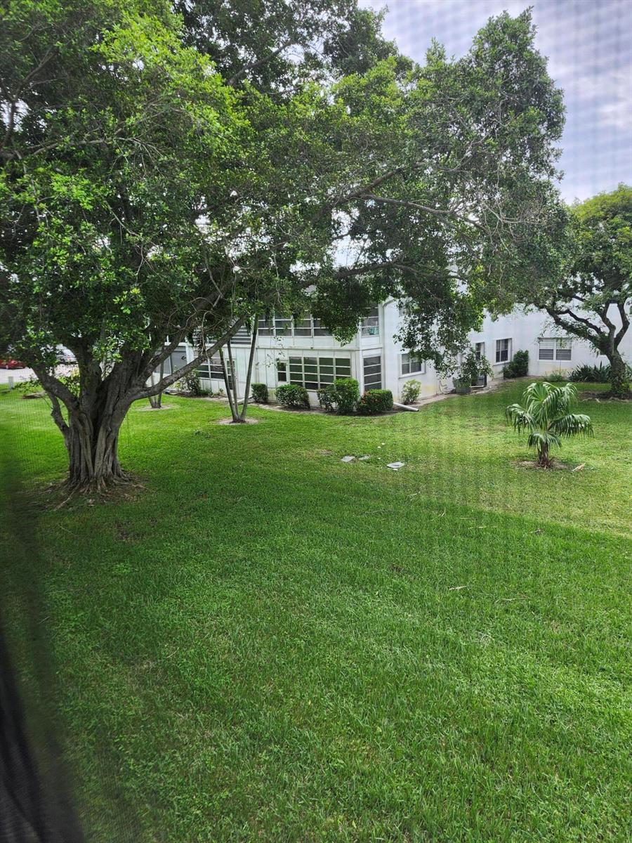 A view of a grassy backyard with large trees and a multi-story white building — 272 Tilford M, Deerfield Beach FL 33442, DEERFIELD BEACH, FL