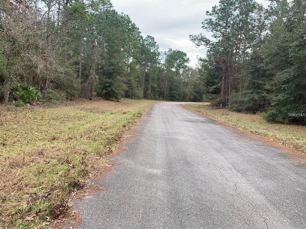 156 ST, OCALA, FL — photo 4 of 6