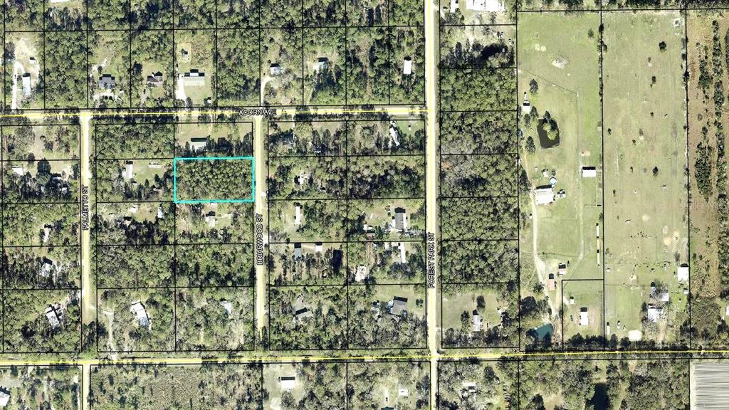 This is an aerial map view showing a rectangular plot of land highlighted in blue — 2828 BRIARWOOD STREET, BUNNELL, FL