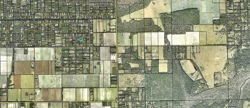 This is an aerial map showing a highlighted property parcel within a grid of streets — 2828 BRIARWOOD STREET, BUNNELL, FL