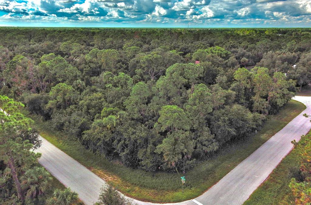 An aerial view shows a wooded corner lot bordered by two paved roads — 145 LOFTIN STREET, PORT CHARLOTTE, FL