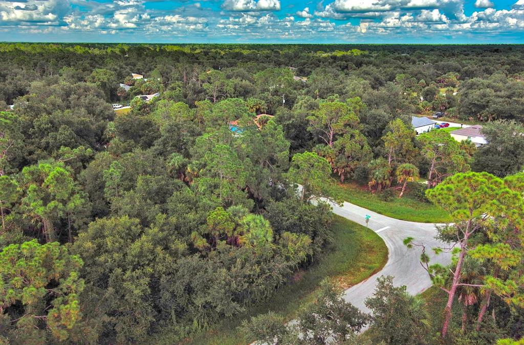 An aerial view shows a paved road curving through a dense, wooded residential area — 145 LOFTIN STREET, PORT CHARLOTTE, FL