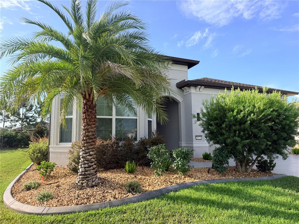 A single-story house exterior features a palm tree, landscaping, and a paved driveway — 8975 SW 59TH LANE ROAD, OCALA, FL