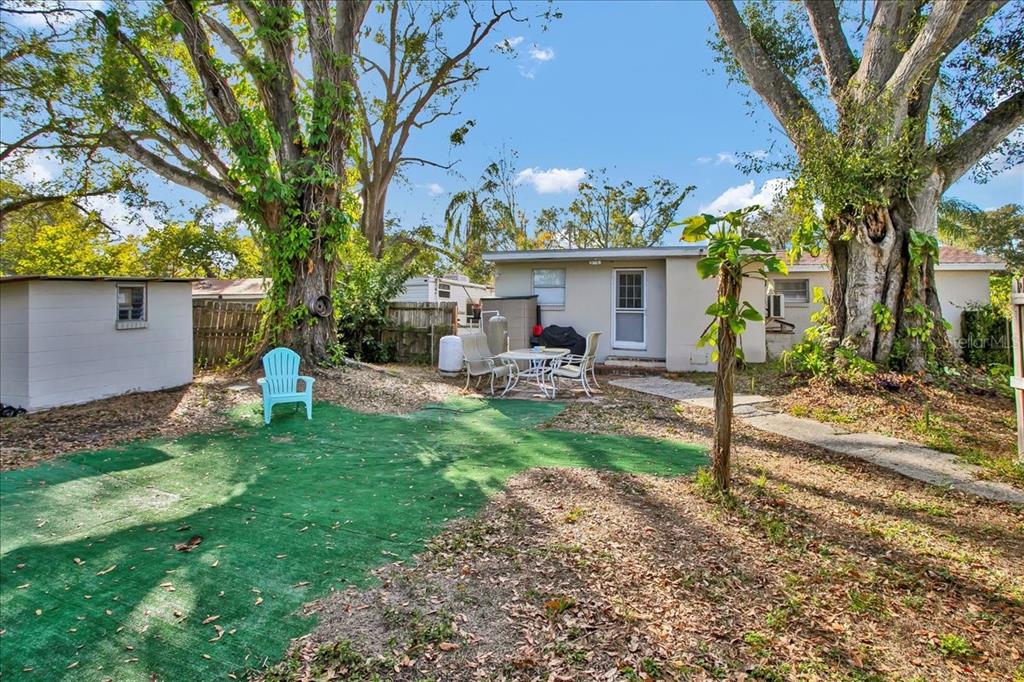 A backyard features a small house, a detached shed, large trees, and a green mat — 4017 WATSON ROAD, TAMPA, FL