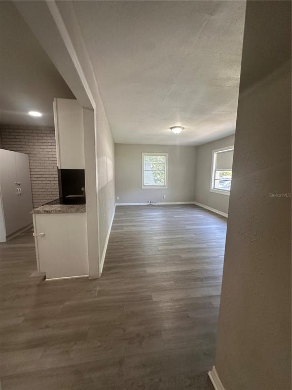 An open-concept living area features light gray walls, wood-look flooring, and a small kitchen — 4017 WATSON ROAD, TAMPA, FL