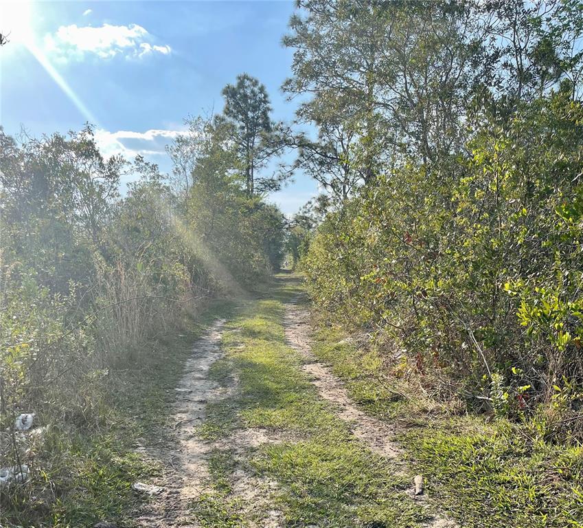 A dirt path runs through a wooded area with dense green vegetation under a sunny sky — CONCORD ROAD, ST CLOUD, FL