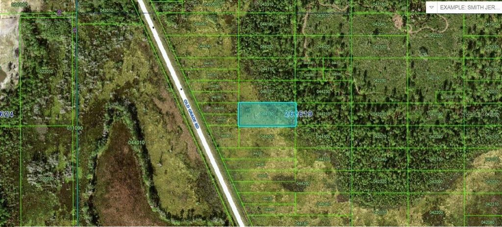This map shows a highlighted rectangular land parcel located east of Old Grade Road — OLD GRADE ROAD, POLK CITY, FL