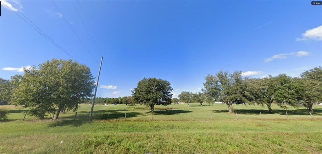 A wide, grassy field features several mature trees under a clear blue sky — OLD GRADE ROAD, POLK CITY, FL