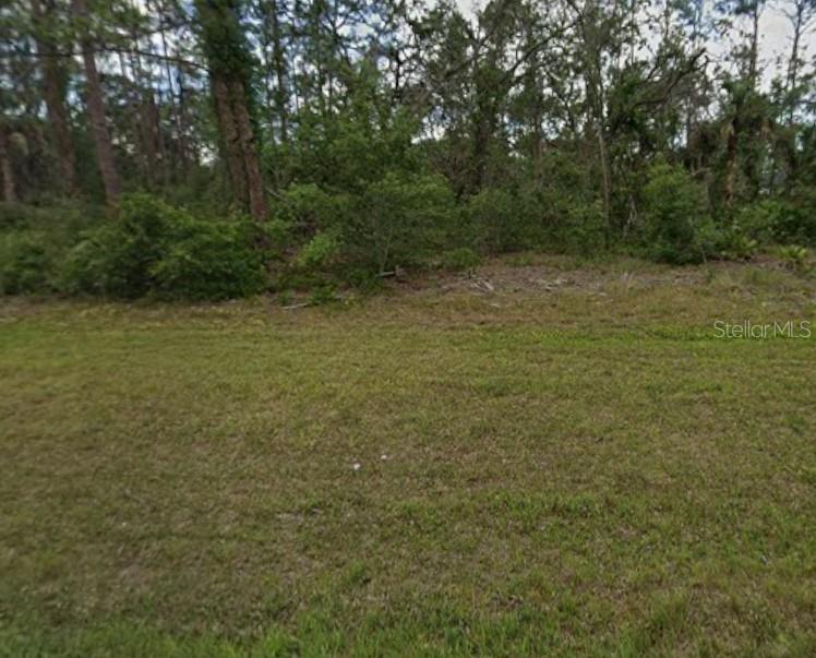 A grassy, open lot is bordered by a dense line of trees and foliage — 13479 CHAMBERLAIN BOULEVARD, PORT CHARLOTTE, FL