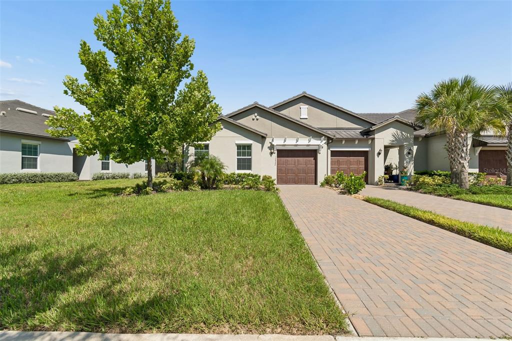 16842 FORGE SURF STREET, LAND O LAKES, FL — photo 2 of 30