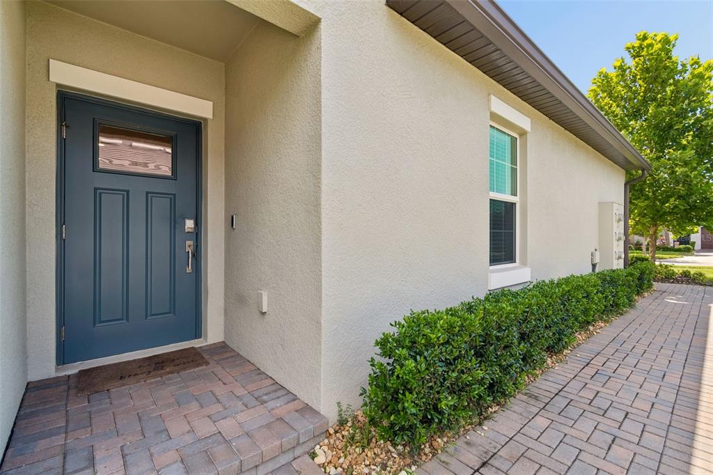 16842 FORGE SURF STREET, LAND O LAKES, FL — photo 3 of 30