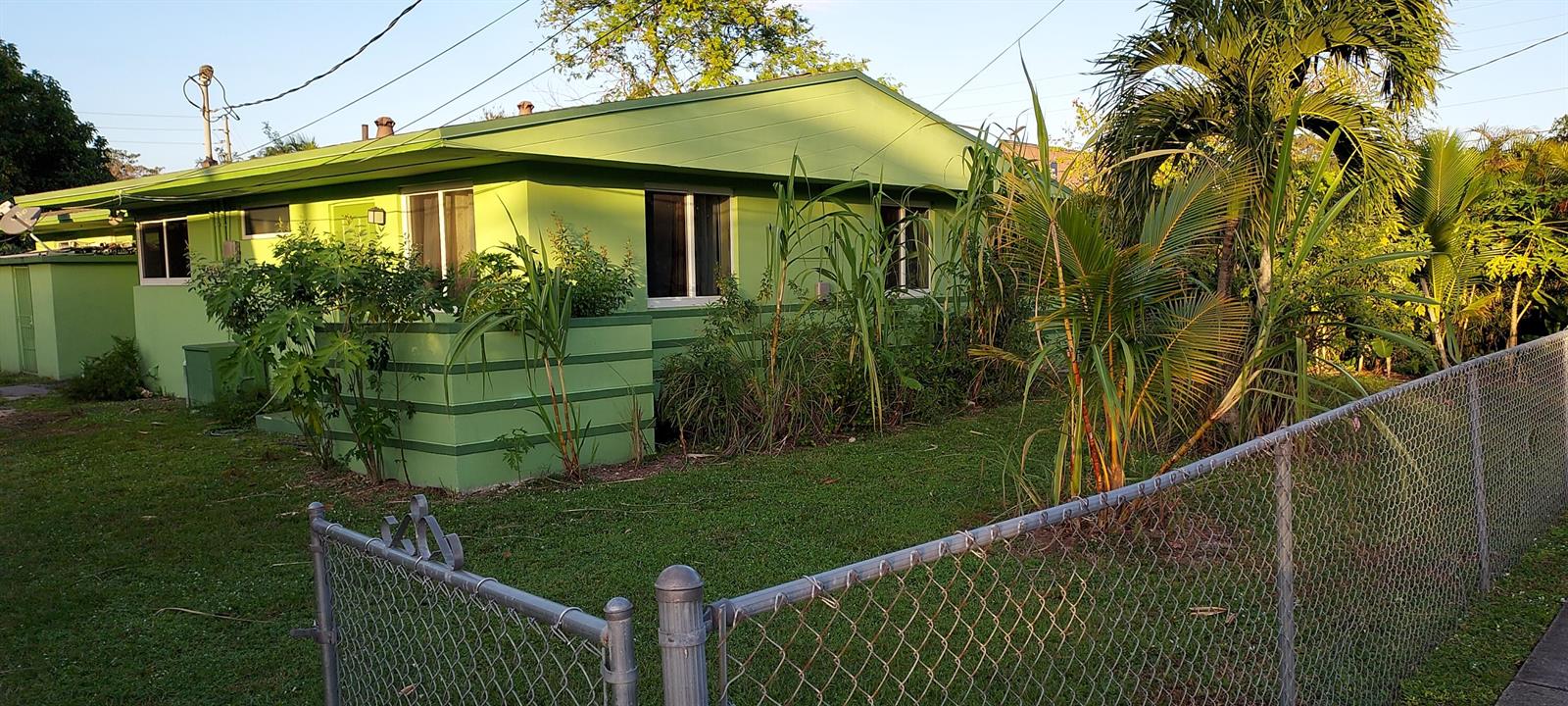 A lime green, single-story house with a chain-link fence and surrounding tropical vegetation — 171 NE 117th Street, Miami FL 33161, MIAMI, FL