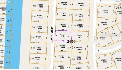 This is a property tax map showing parcel boundaries and lot numbers along Norton Drive — NORTON DRIVE, NORTH PORT, FL