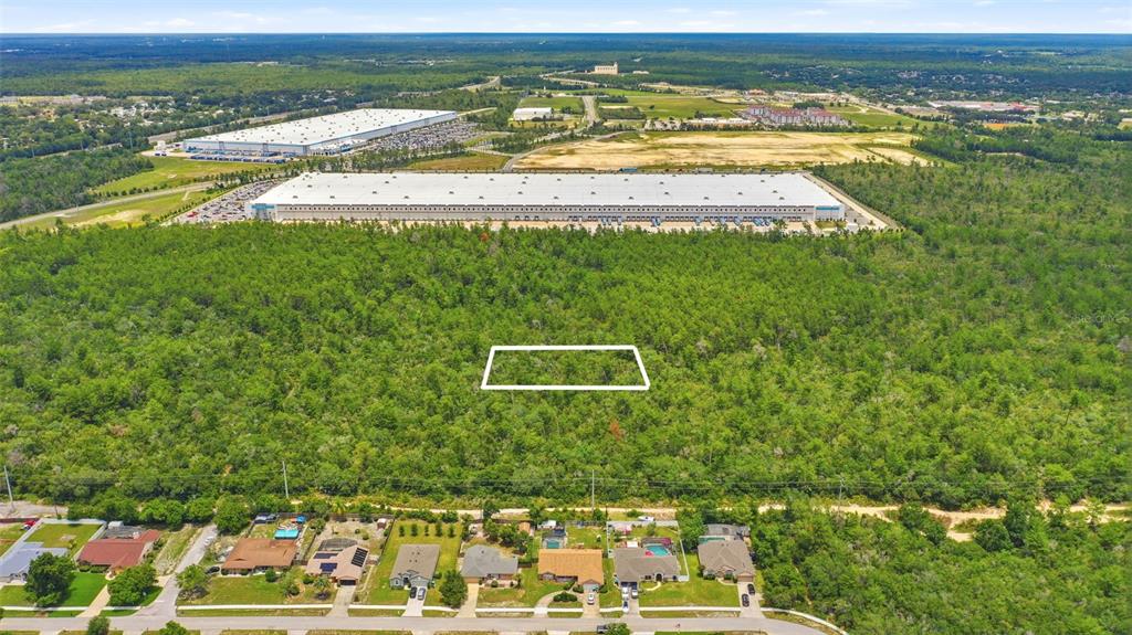 An aerial view shows a residential street in the foreground bordering a large wooded area — WOLVERINE (PAPER) AVENUE, DELTONA, FL