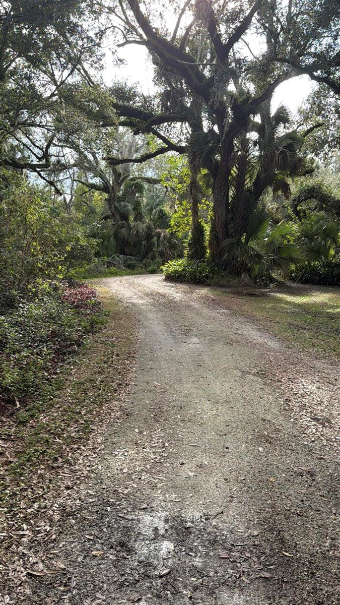 A dirt path winds through a wooded area with large oak trees and palm plants — 535 SE 80th Avenue, Okeechobee FL 34974, OKEECHOBEE, FL