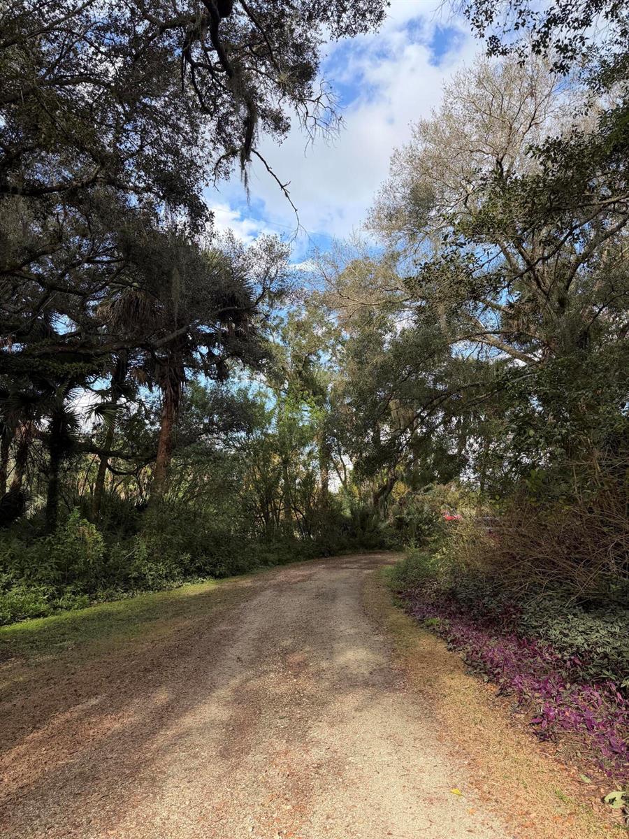 A dirt path winds through a wooded area with tall trees and lush green foliage — 535 SE 80th Avenue, Okeechobee FL 34974, OKEECHOBEE, FL