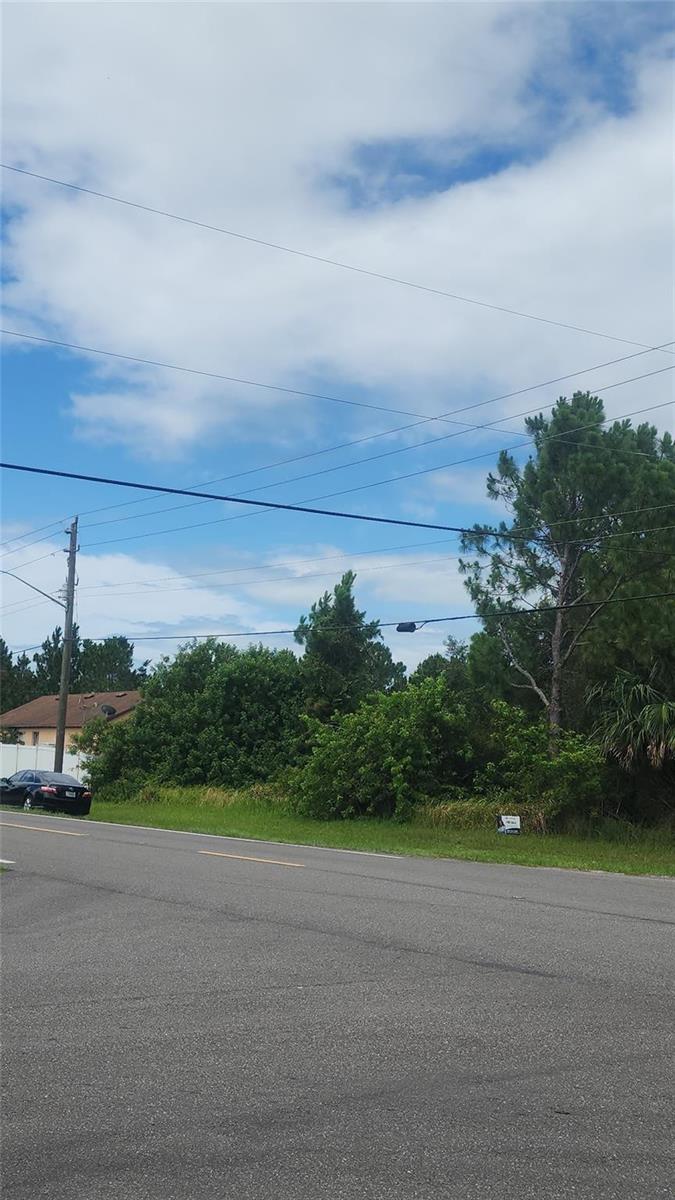 A paved road runs in front of a vacant, tree-covered lot under a cloudy sky — 202 Haines Road, Palm Bay FL 32908, PALM BAY, FL