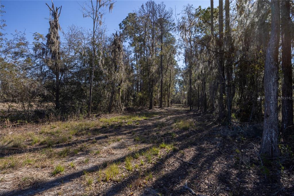 155TH WAY, STARKE, FL — photo 2 of 29