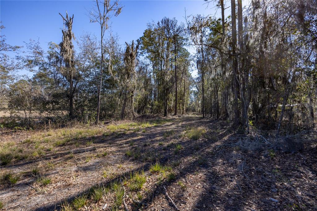 155TH WAY, STARKE, FL — photo 3 of 29