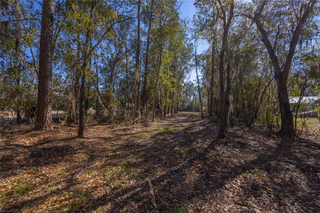 155TH WAY, STARKE, FL — photo 4 of 29