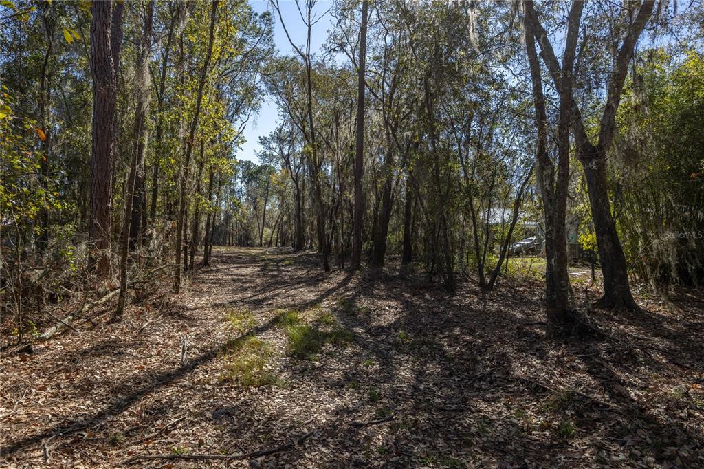 155TH WAY, STARKE, FL — photo 5 of 29