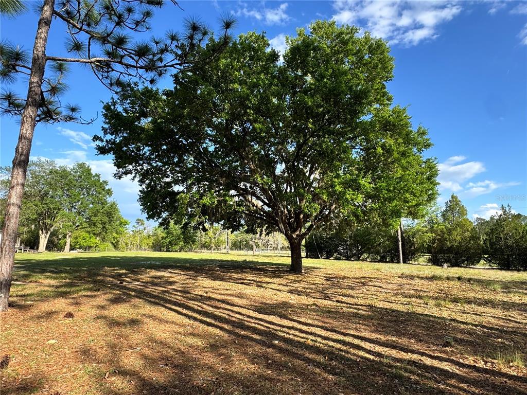 A single-story house sits in the distance at the end of a large, grassy lot — 4551 NE 132ND COURT, WILLISTON, FL