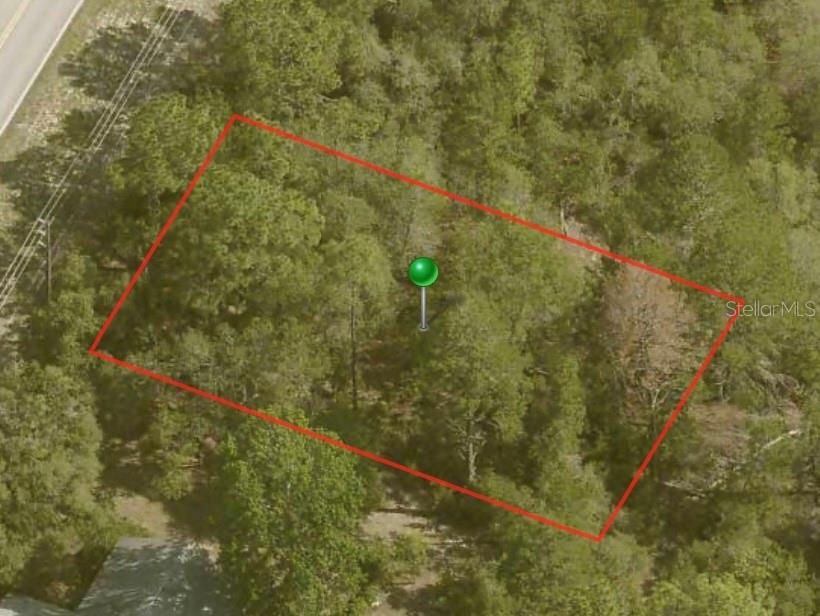 An aerial view shows a rectangular, tree-covered vacant lot outlined in red — 9641 N ELKCAM BOULEVARD, CITRUS SPRINGS, FL