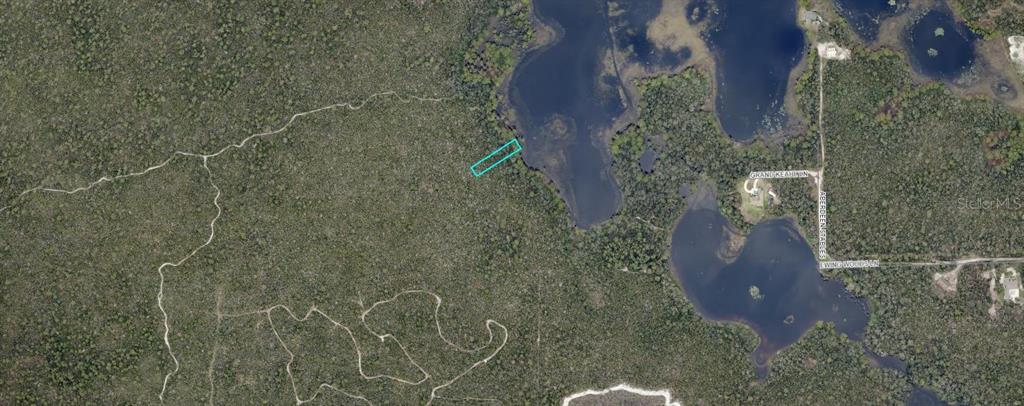 This aerial map shows a rectangular property parcel highlighted in blue next to a lake — 81-04-07-19-0290 COLBY (PAPER) DRIVE, DELTONA, FL