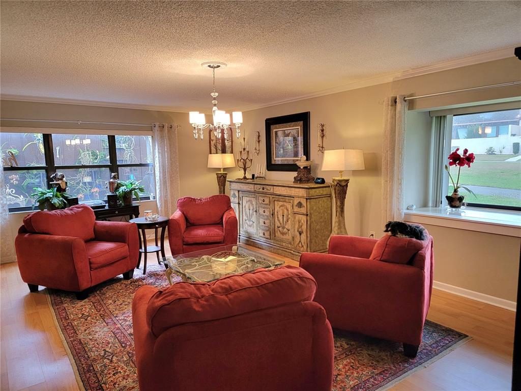 A living room features red armchairs, a glass coffee table, and a patterned area rug — 1 CASA LOMA WAY, LAKELAND, FL