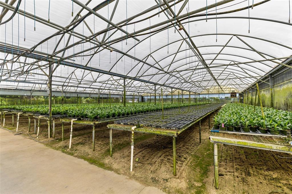 A large commercial greenhouse features rows of potted plants on metal tables under plastic roofing — 18021 E APSHAWA ROAD, MINNEOLA, FL
