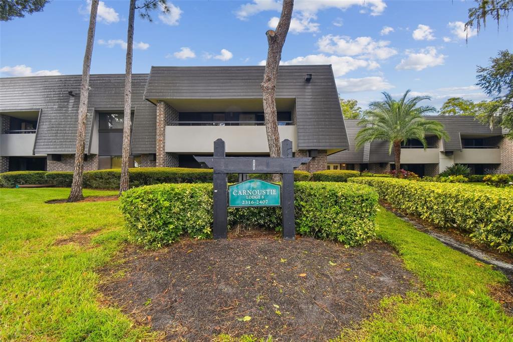 36750 US HIGHWAY 19 N UNIT 03116