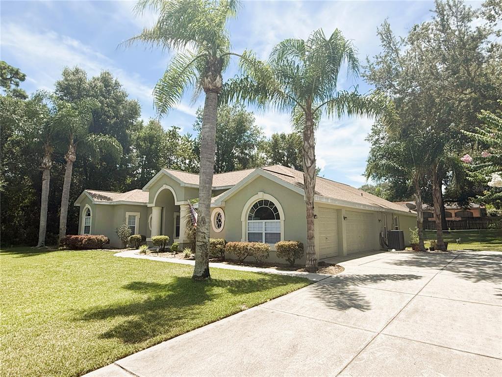 A single-story house with a light green exterior, palm trees, and a concrete driveway — 7552 RIVER COUNTRY DRIVE, WEEKI WACHEE, FL