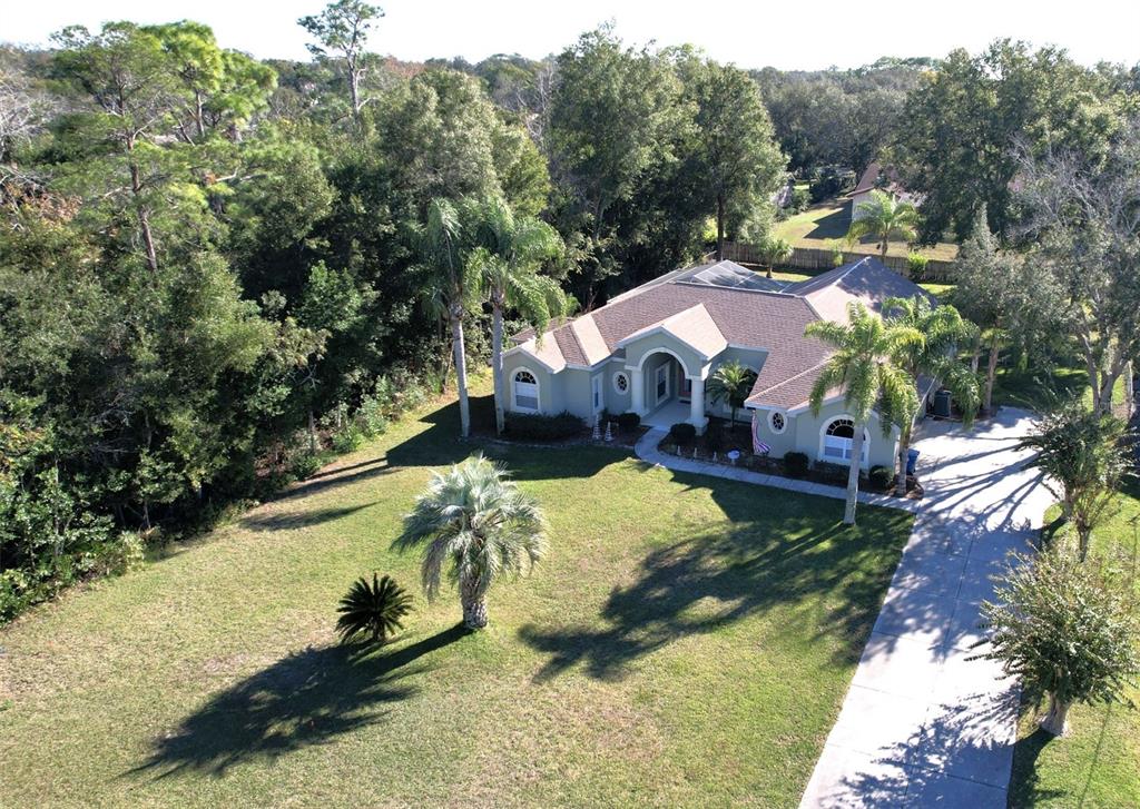 An aerial view of a single-story house with a driveway and surrounding trees — 7552 RIVER COUNTRY DRIVE, WEEKI WACHEE, FL