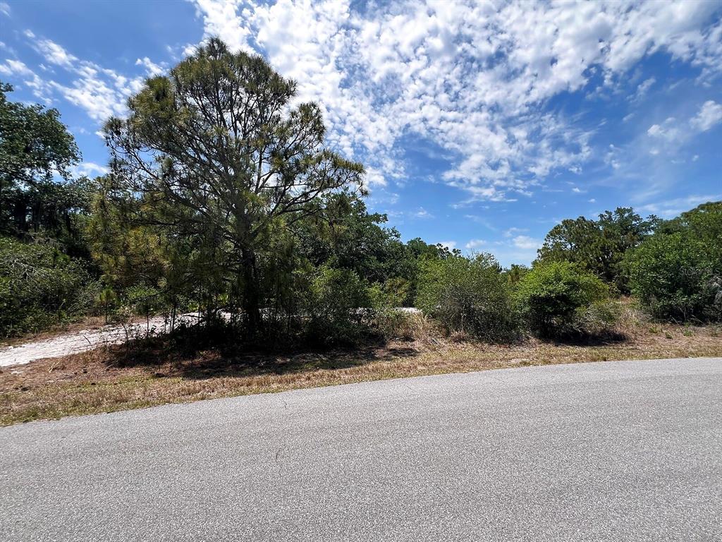 HAMER TERRACE Lot 25