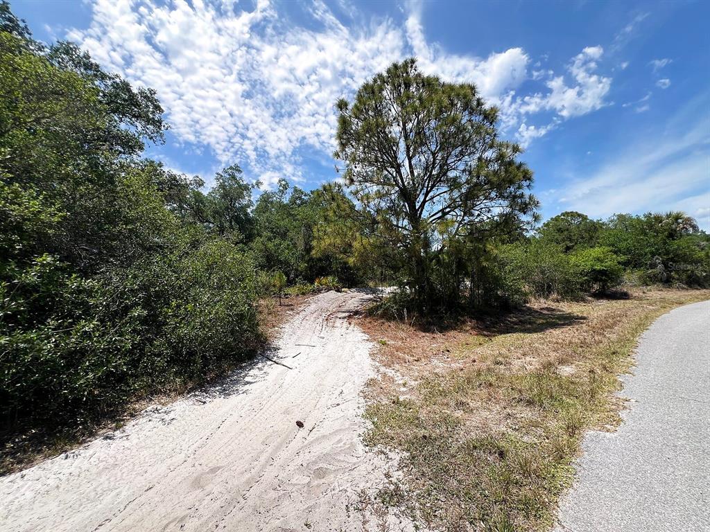 A sandy path leads from a paved road into a wooded area with trees — HAMER TERRACE Lot 25, NORTH PORT, FL