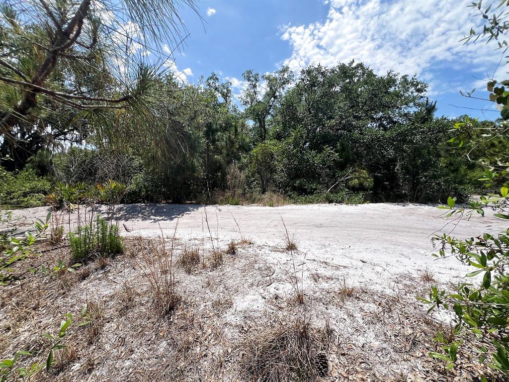 A sandy, undeveloped lot with native vegetation and trees under a blue sky — HAMER TERRACE Lot 25, NORTH PORT, FL