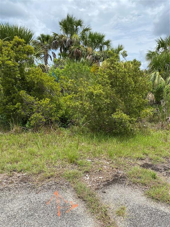 An overgrown, wooded lot features a paved area with an orange survey marking in the foreground — KIMBERLY DRIVE, NORTH PORT, FL