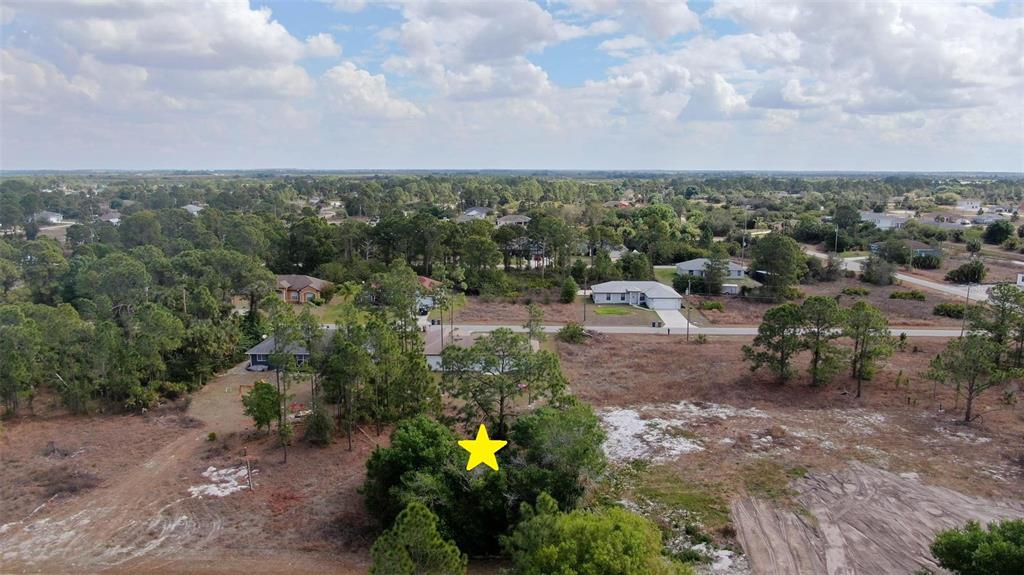 An aerial view shows a wooded residential lot marked with a yellow star — 841 DANTE AVENUE S, LEHIGH ACRES, FL