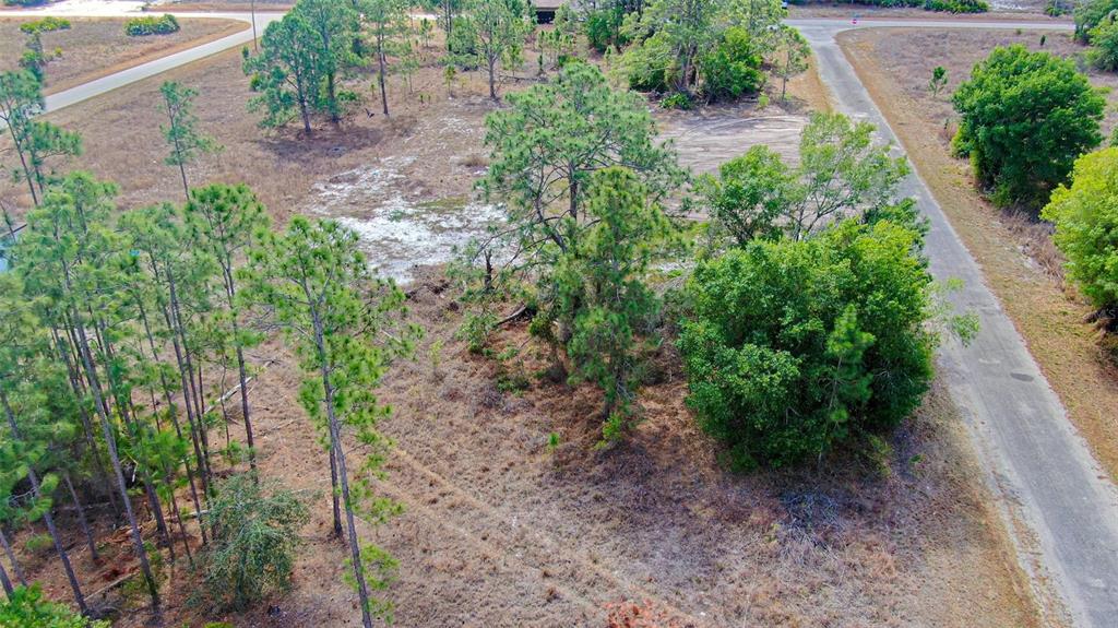 An aerial view of a vacant, wooded lot bordered by two paved roads — 841 DANTE AVENUE S, LEHIGH ACRES, FL