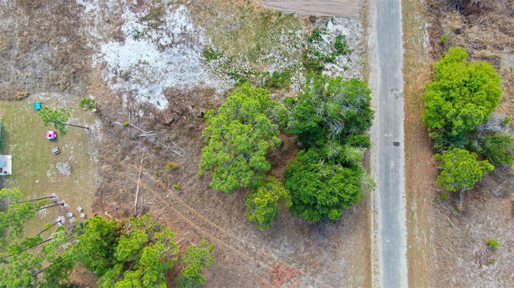 An aerial view shows a dirt road running alongside a grassy lot with several trees — 841 DANTE AVENUE S, LEHIGH ACRES, FL