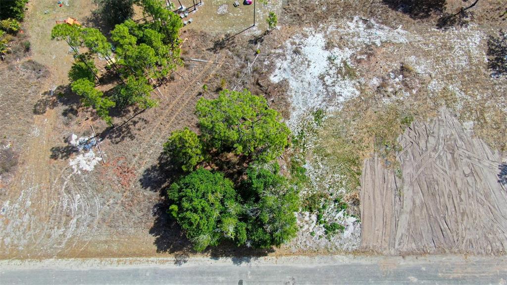 An aerial view shows a vacant, partially cleared lot with trees and a dirt road — 841 DANTE AVENUE S, LEHIGH ACRES, FL