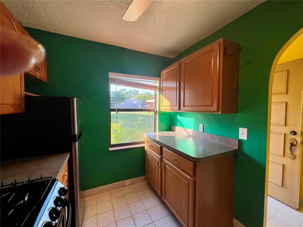 A kitchen features green walls, wood cabinets, a window, and a dark countertop — 2971 MISSION DRIVE E UNIT 54F, CLEARWATER, FL