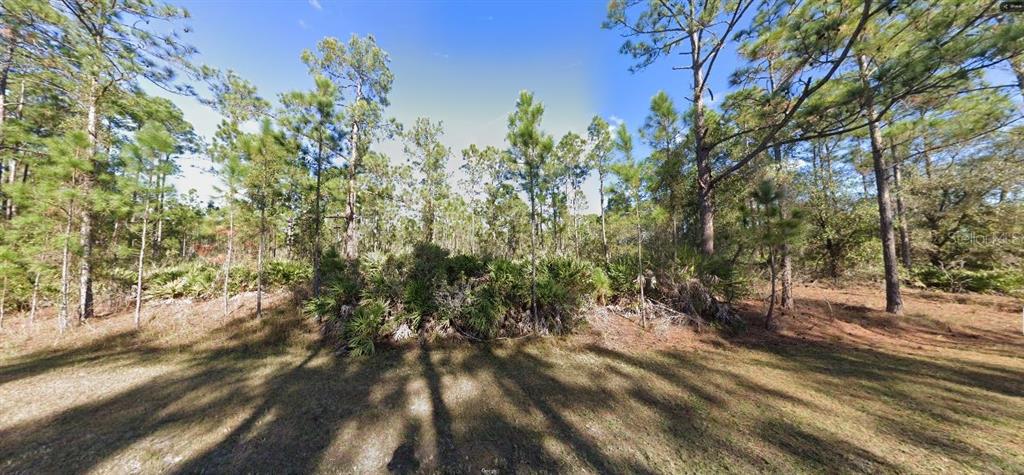 A wooded lot with pine trees and low-lying palmetto bushes under a clear blue sky — 604 TROPICANA DRIVE, INDIAN LAKE ESTATES, FL