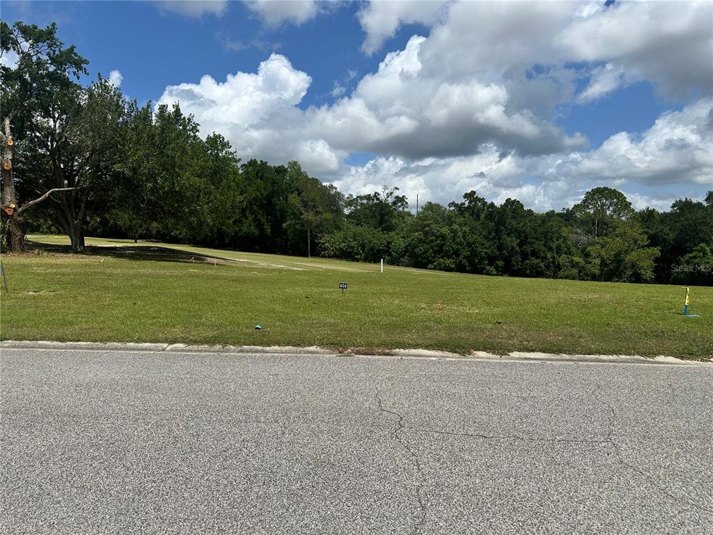 A vacant, grassy residential lot sits along a paved road under a cloudy blue sky — 3951 GREENBLUFF ROAD UNIT 816, ZELLWOOD, FL