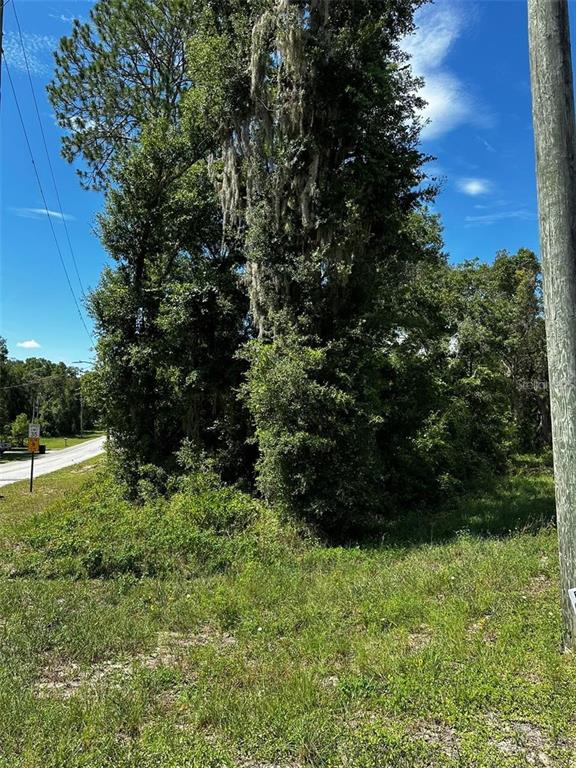 A view of a wooded, undeveloped lot with a utility pole and nearby road — xx THRASHER DR, BRONSON, FL